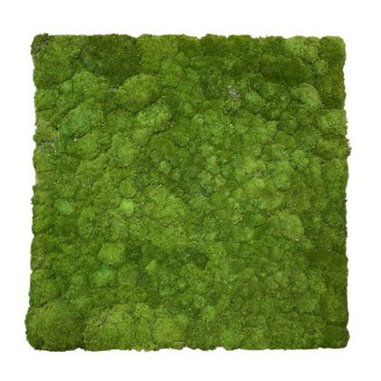 MUSGO NATURAL - ALT 1.00 M X LARG 1.00 M (E201)