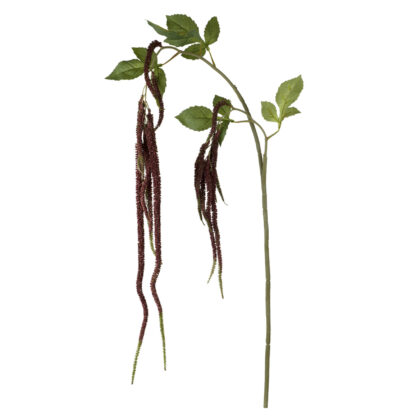 PENDENTE  AMARANTHUS BORDO - ALT 1 M (MX317-PK)