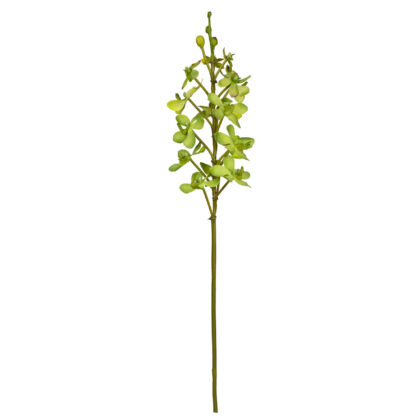 ORQUÍDEA VANDA VERDE - ALT 75 CM (MX921-2)