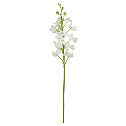 ORQUÍDEA VANDA BRANCA - ALT 70 CM (MX921-4)