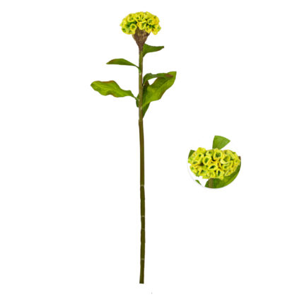 HASTE CELOSIA VERDE - ALT 58 CM (MX934-1)