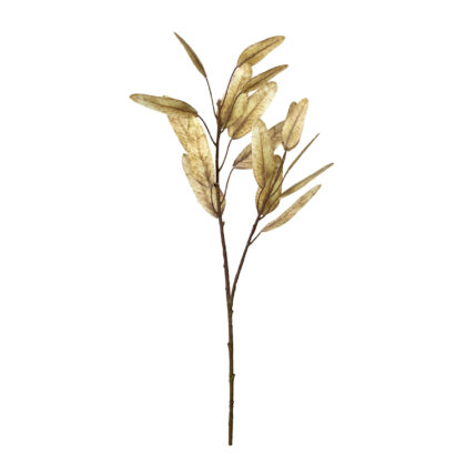 HASTE EUCALIPTO OUTONADO TOQUE REAL - ALT 60 CM (SH574-CR)