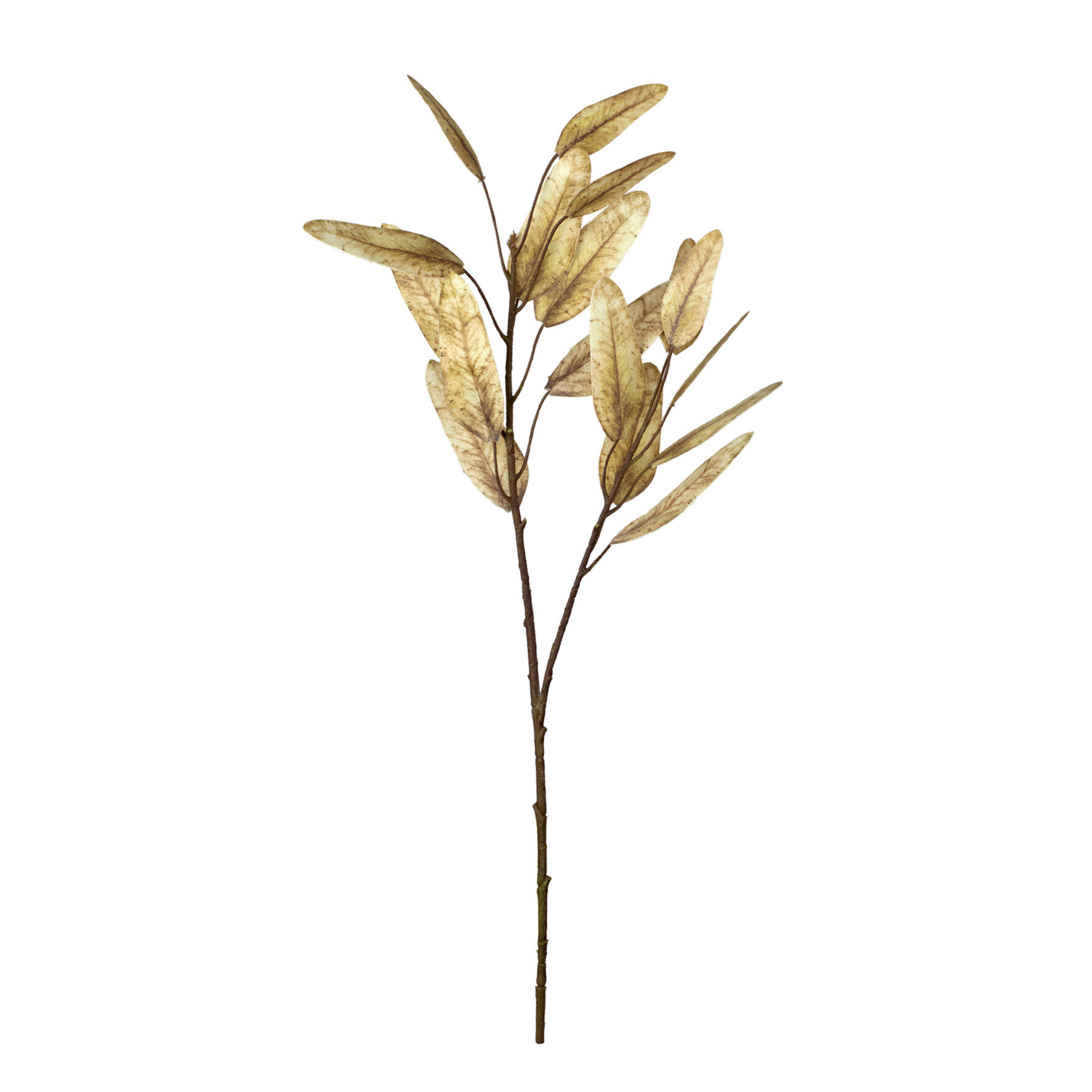 HASTE EUCALIPTO OUTONADO TOQUE REAL - ALT 60 CM (SH574-CR)