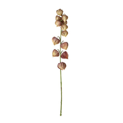 HASTE PHYSALIS VINHO - ALT 70 CM (SM465-2)