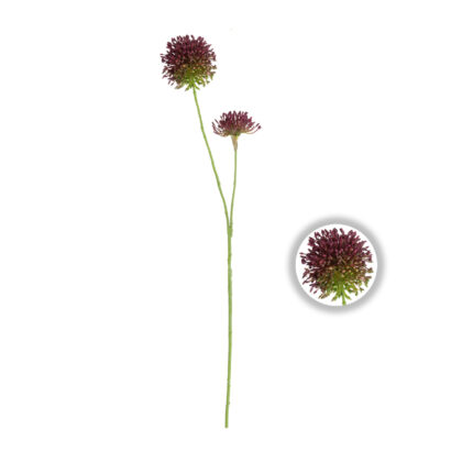 HASTE FLOR DE ALHO - ALT 75 CM (SM466)