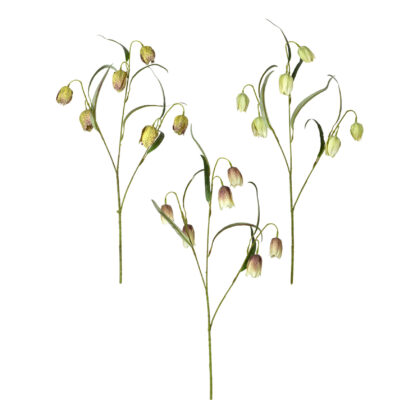 HASTE FRITILLARIA (3 CORES) - ALT 50 CM (SM467)