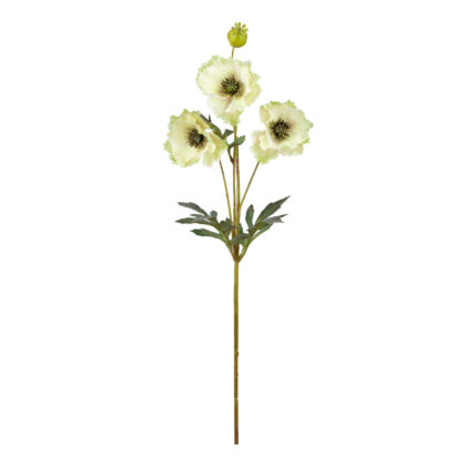 HASTE PAPOULA VERDE- ALT 70 CM (SM469-1)