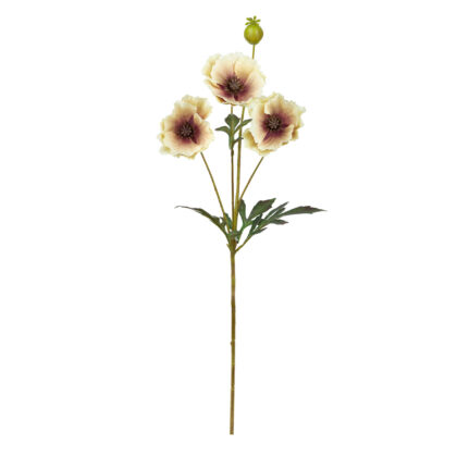 HASTE PAPOULA CREME - ALT 70 CM (SM469-2)