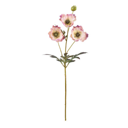 HASTE PAPOULA ROSA - ALT 70 CM (SM469-3)