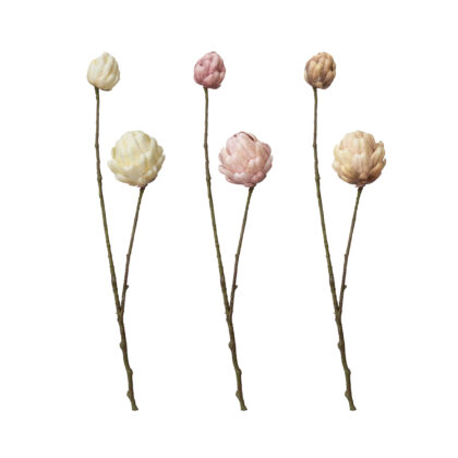 HASTE PROTEA (3 CORES) - ALT 55 CM (SM470)