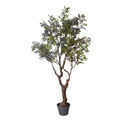ÁRVORE LOROPETALUM VINHO - ALT 2.70 M (BA680-VM)