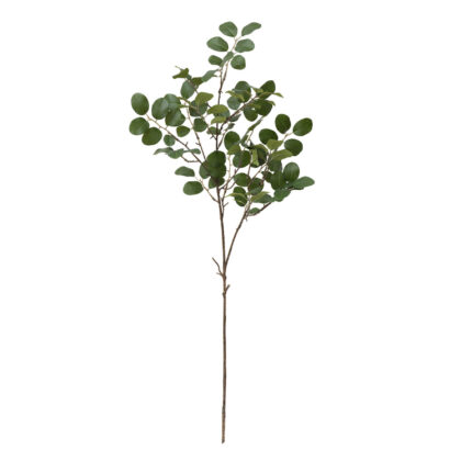 HASTE LOROPETALUM VERDE - ALT 75 CM (DS317-1)