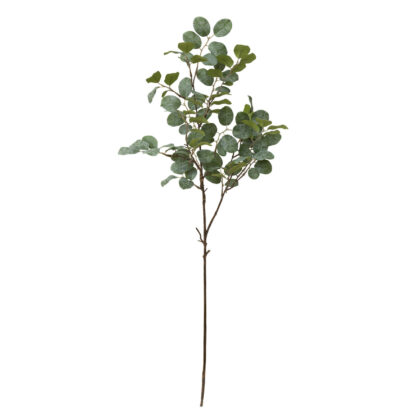 HASTE LOROPETALUM VERDE COM CINZA - ALT 75 CM (DS317-2)
