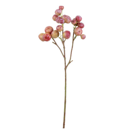 HASTE ACEROLA - ALT 35 CM (AC207)