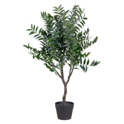 ARVORE RUSCUS ITALIANA - ALT 75 CM (BA683)