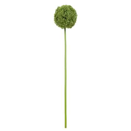 HASTE FLOR DE ALHO VERDE - ALT 45 CM (BC004-VD)