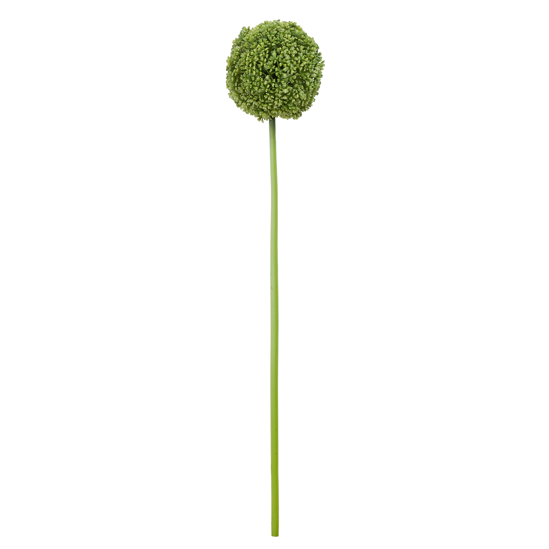 HASTE FLOR DE ALHO VERDE - ALT 45 CM (BC004-VD)