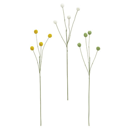 HASTE CRASPEDIA (3 CORES) - ALT 50 CM (BC007)