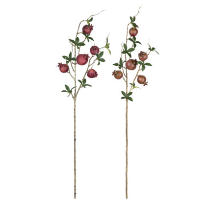 HASTE ROMA (2 CORES) - ALT 70 CM (BC020)