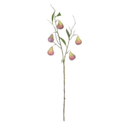 HASTE FIGO - ALT 70 CM (BC021)