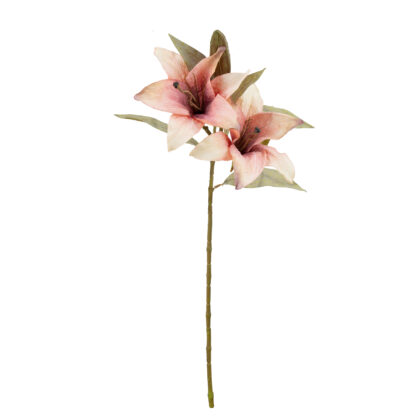 HASTE LIRIO VINTAGE PINK X2 - ALT 60 CM (BC030-2)