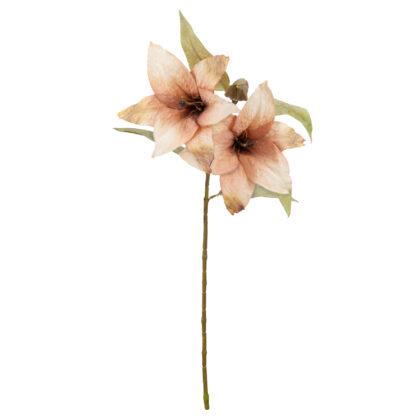 HASTE LIRIO VINTAGE SALMAO X2 - ALT 60 CM (BC030-3)