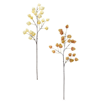 HASTE PHYSALIS (2 CORES) - ALT 90 CM (BC035)