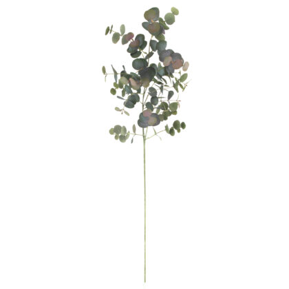 HASTE EUCALIPTO - ALT 1 M (BC040)
