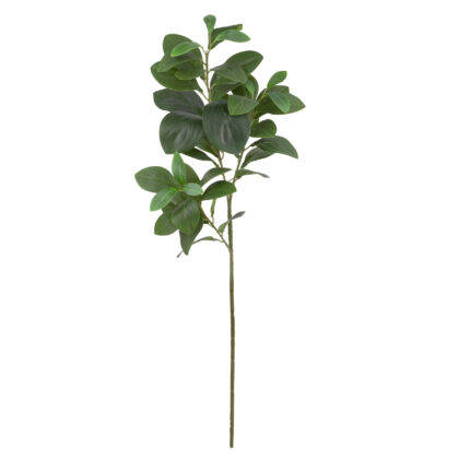 HASTE PEPEROMIA VERDE - ALT 70 CM (BC044)