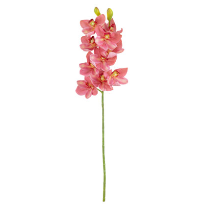 HASTE CYMBIDIUM SILICONE ROSA - ALT 70 CM	(LC004-2)