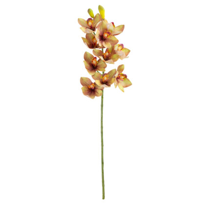 HASTE CYMBIDIUM SILICONE LARANJA - ALT 70 CM (LC004-4)