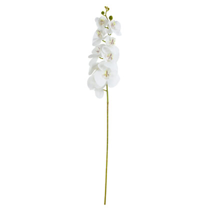 HASTE PHALAENOPSIS BRANCO - ALT 1 M (LC005-1)