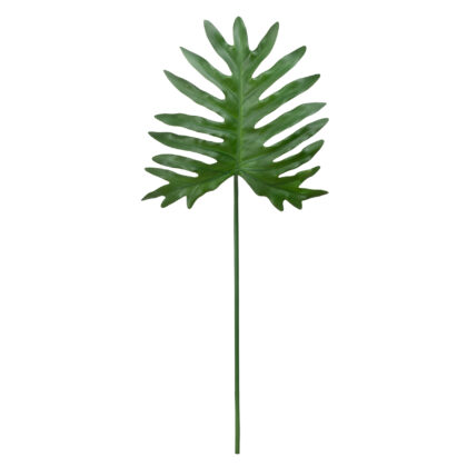 HASTE PHILODENDRON - ALT 40 CM (MX090)