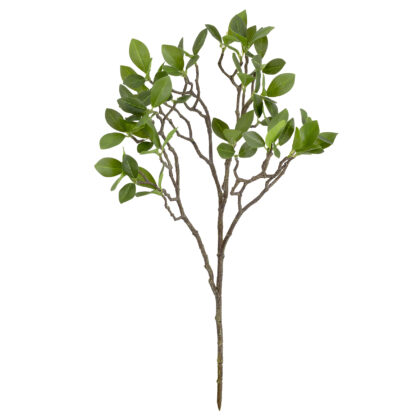HASTE FICUS MICROCARPA - ALT 35 CM (MX092)