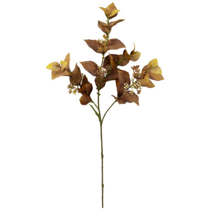 HASTE FOLHAGEM OUTONADA COM SEMENTE FERRUGEM - ALT 65 CM (MX860-2)