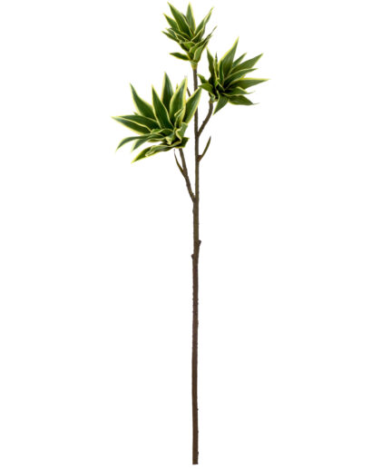 HASTE DRACENA X 3 TOQUE REAL VERDE - ALT 83 CM (MX907-1)