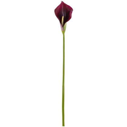 HASTE CALLA - ALT 75 CM (MX937-1)