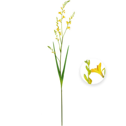 HASTE TRITONIA AMARELO - ALT 1,00 M (MX901-2)