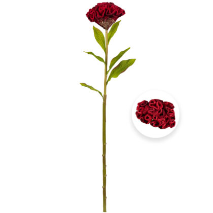 HASTE CELOSIA VERMELHO - ALT 58 CM (MX934-3)