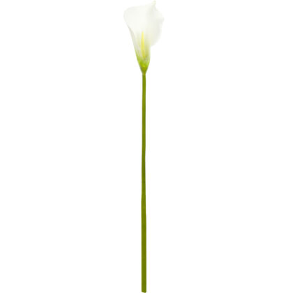 HASTE CALLA BRANCA - ALT 75 CM (MX937-2)